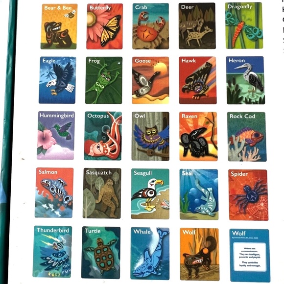 Lot of 2 Usborne Animal Stencil Cards And Salish Sea Flash Cards Educational - Picture 10 of 12